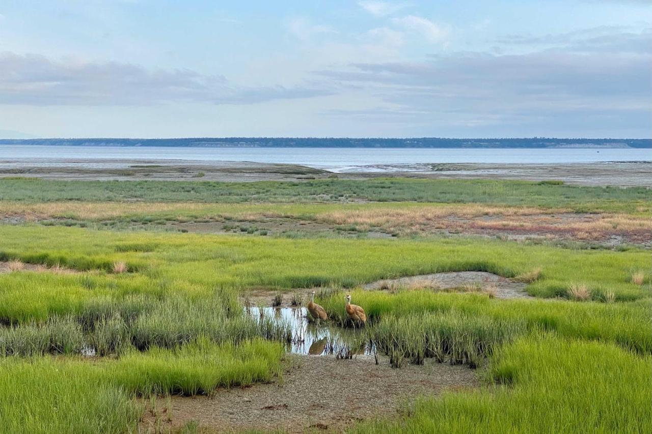 Alluring Anchorage Apt - Walk To Coastal Trl! Esterno foto